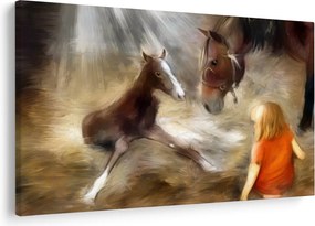Obraz - Vitaj na svete, žriebätko (90x60 cm)