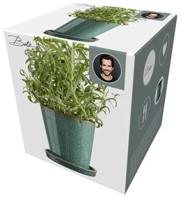 Zelený kameninový kvetináč s podnosom Bitz Jungle, ø 10 cm