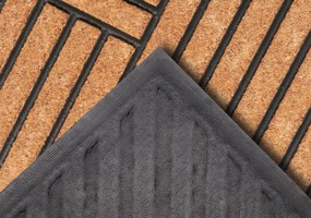 Hanse Home, Rohožka Crossings 105933 - na von aj na doma, 45x75, hnedá, chodba / predsieň