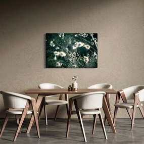 Obraz - Pavučina (90x60 cm)