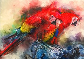 Obraz červených papagájov ara (70x50 cm)