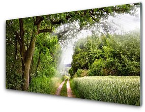 Obraz plexi Stromy chodník príroda 100x50 cm