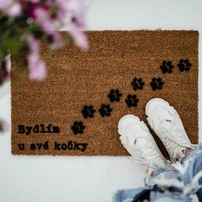 Bella Rose Rohožka Bydlím u své kočky - CZ