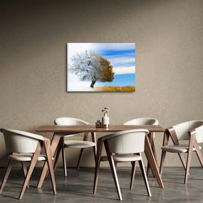 Obraz - Zmena ročného obdobia (70x50 cm)