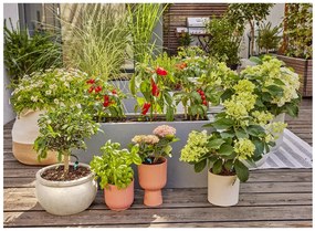 Gardena Zavlažovanie na terasu Micro-Drip-System  (100391578)