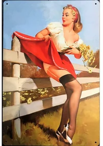 Ceduľa Woman 30cm x 20cm Plechová tabuľa
