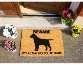 Rohožka z prírodného kokosového vlákna Artsy Doormats Labrador, 40 x 60 cm