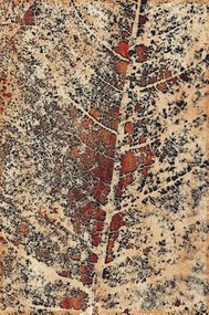 Koberec Agnella Isfahan Alnus medený