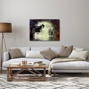 Obraz - Spln nad hladinou (70x50 cm)
