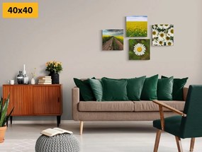 Set obrazov lúka plná kvetov - 4x 60x60