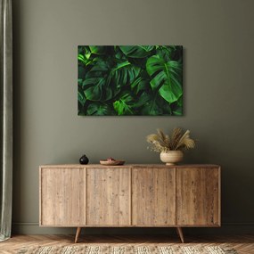 Obraz listov Monstery (90x60 cm)