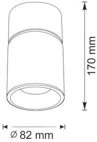 Bodové svietidlo NIXA 1xGU10/10W/230V biela/zlatá
