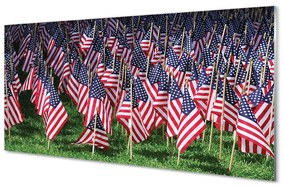 Obraz plexi Usa vlajky 100x50 cm