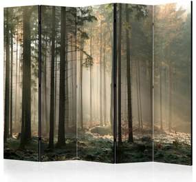 Artgeist Paraván - Foggy November morning [Room Dividers]