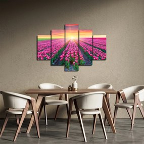 Obraz poľa tulipánov so slnkom (150x105 cm)