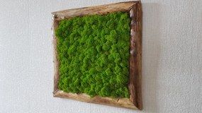Machový obraz v masívnom ráme: 50cm x 50cm