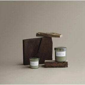 Vonná sójová sviečka doba horenia 45 h Valoa Fig Tree - Lime – Blomus