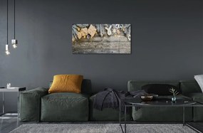 Sklenený obraz Vetvičky darčeky kužele 120x60 cm