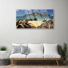 Skleneny obraz Pláž more skala príroda 125x50 cm