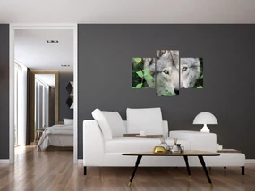 Obraz - Portrét vlka (90x60 cm)