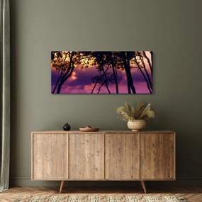 Obraz - Stromy pri západe slnka (120x50 cm)