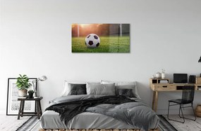 Obraz na skle Futbal tráva gateway 120x60 cm