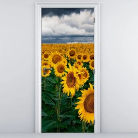 Fototapeta na dvere - Slnečnicové pole (95x205cm)