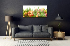Obraz plexi Tulipány kvety rastlina 100x50 cm