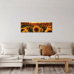 Obraz - Slnečnica (s hodinami) (90x30 cm)