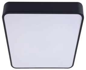 LED Stropné svietidlo FELIZ LED/50W/230V 4000K 40x60 cm čierna