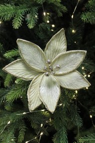 Krémová zamatová vianočná ruža na štipci 18cm