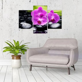 Obraz - Orchidey (90x60 cm)