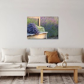 Obraz - Levanduľové zväzky (70x50 cm)