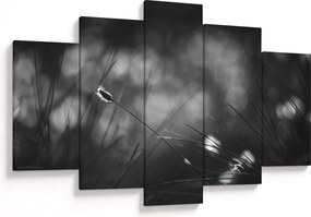 Obraz - Lúčna tráva (150x105 cm)