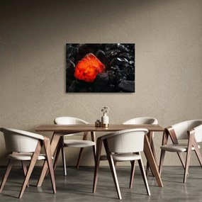 Sklenený obraz - Žeravý nerast (70x50 cm)
