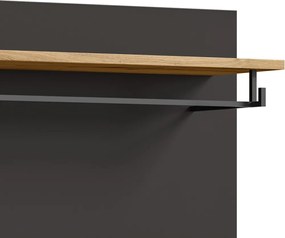 Dvojdielny šatníkový panel Cano, 80 cm, šedá/dub artisan