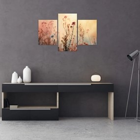 Obraz - Divoké kvety (90x60 cm)