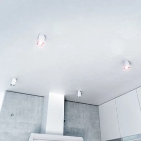 RENDL R10164 EX prisadené svietidlo, downlight striebornosivá