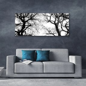 Obraz plexi Stromy príroda čiernobiely 125x50 cm
