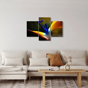 Obraz - Exotický kvet (90x60 cm)