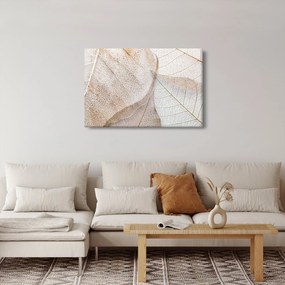 Obraz - Béžové listy (90x60 cm)