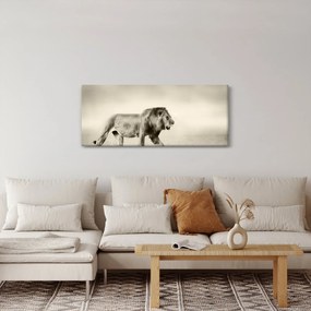 Obraz - Hladný lev (120x50 cm)