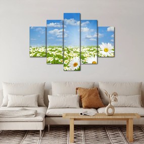 Obraz rozkvitnutej lúky s margarétkami (150x105 cm)