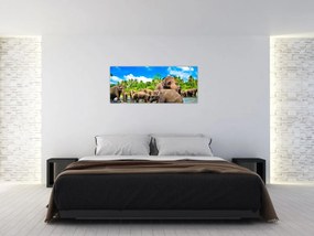 Obraz - Slony, Sri Lanka (120x50 cm)