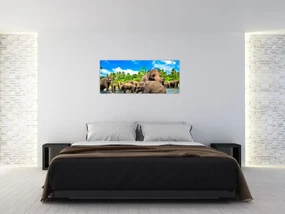 Obraz - Slony, Sri Lanka (120x50 cm)