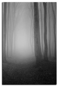 Obraz na plátne - Hmla v lese - obdĺžnik 7182QA (100x70 cm)