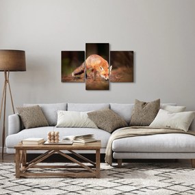 Obraz - Lišiak v lese (90x60 cm)