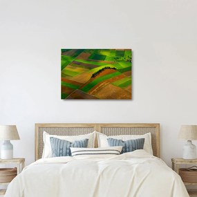 Sklenený obraz - Polia, lúky (70x50 cm)