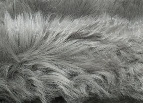 Koberce Breno Kusový koberec CLAIRE NEW sivý, sivá,60 x 90 cm