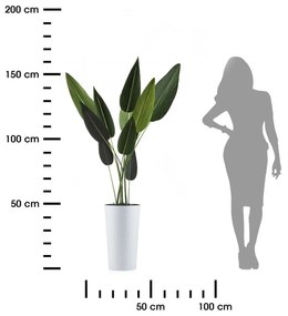 PLASTOVÝ KVETINÁČ URBANIKA RIFLO 25,5X46,5 CM BIELA